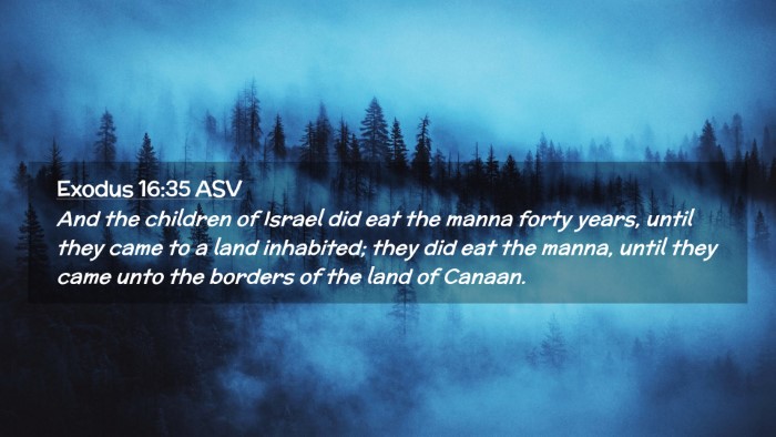 Picture 02 - Exodus 16:35 ASV Desktop Wallpaper - And the children of Israel did eat the manna - Desktop Bible Verse Wallpaper