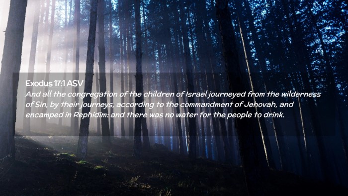 Picture 02 - Exodus 17:1 ASV Desktop Wallpaper - And all the congregation of the children of - Desktop Bible Verse Wallpaper