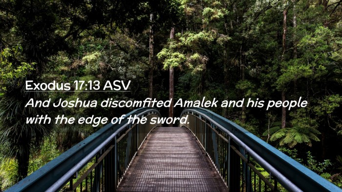 Picture 02 - Exodus 17:13 ASV Desktop Wallpaper - And Joshua discomfited Amalek and his people with - Desktop Bible Verse Wallpaper