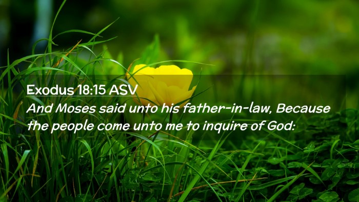 Picture 02 - Exodus 18:15 ASV Desktop Wallpaper - And Moses said unto his father-in-law, Because - Desktop Bible Verse Wallpaper
