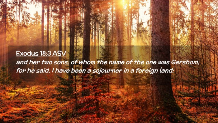 Picture 02 - Exodus 18:3 ASV Desktop Wallpaper - and her two sons; of whom the name of the one was - Desktop Bible Verse Wallpaper