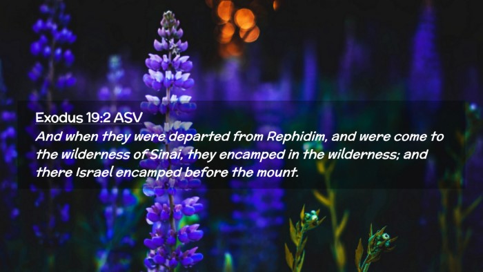 Picture 02 - Exodus 19:2 ASV Desktop Wallpaper - And when they were departed from Rephidim, and - Desktop Bible Verse Wallpaper