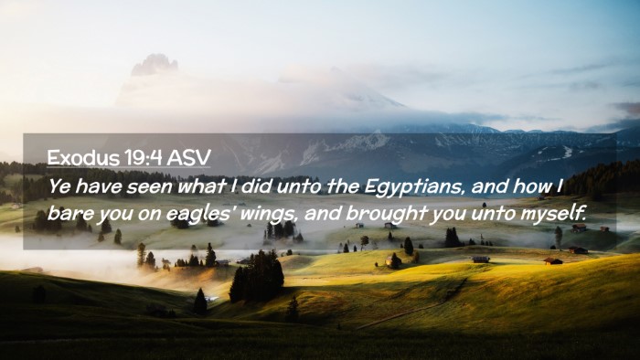 Picture 02 - Exodus 19:4 ASV Desktop Wallpaper - Ye have seen what I did unto the Egyptians, and - Desktop Bible Verse Wallpaper