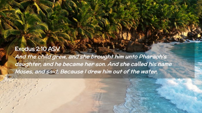 Picture 02 - Exodus 2:10 ASV Desktop Wallpaper - And the child grew, and she brought him unto - Desktop Bible Verse Wallpaper
