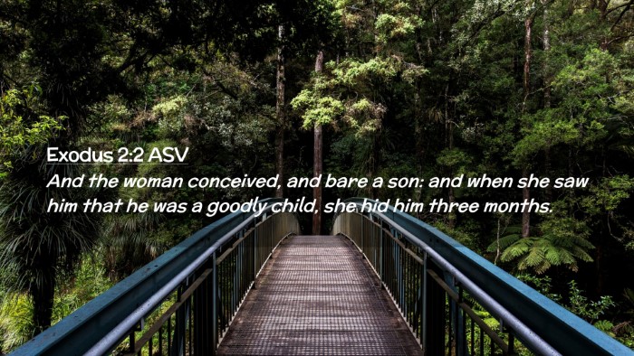 Picture 02 - Exodus 2:2 ASV Desktop Wallpaper - And the woman conceived, and bare a son: and when - Desktop Bible Verse Wallpaper