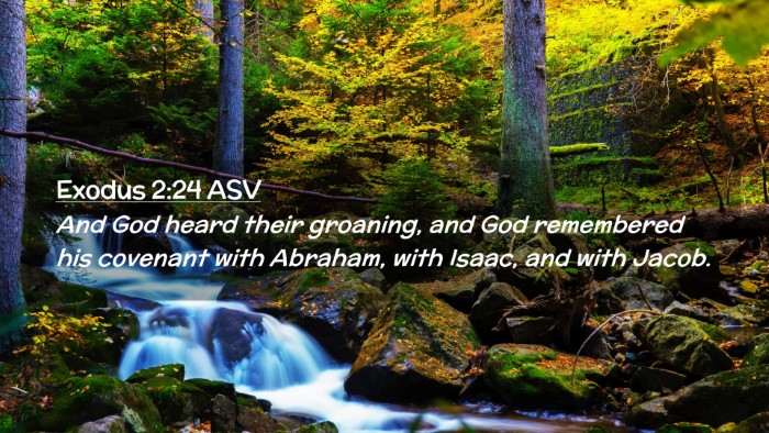 Picture 02 - Exodus 2:24 ASV Desktop Wallpaper - And God heard their groaning, and God remembered - Desktop Bible Verse Wallpaper