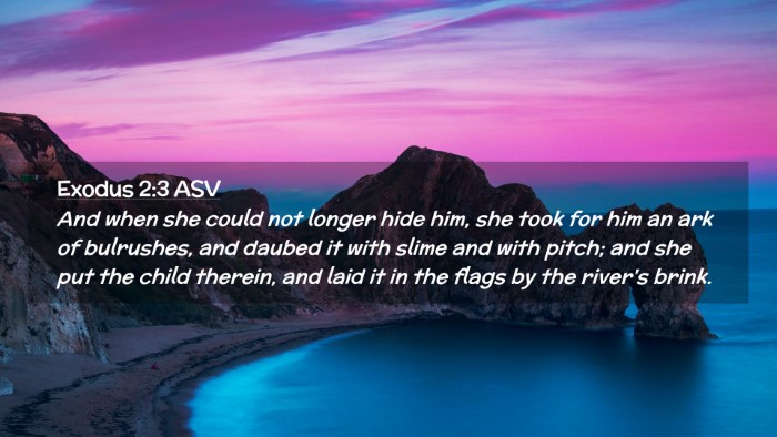 Picture 02 - Exodus 2:3 ASV Desktop Wallpaper - And when she could not longer hide him, she took - Desktop Bible Verse Wallpaper