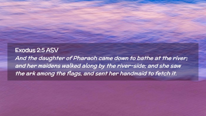 Picture 02 - Exodus 2:5 ASV Desktop Wallpaper - And the daughter of Pharaoh came down to bathe at - Desktop Bible Verse Wallpaper