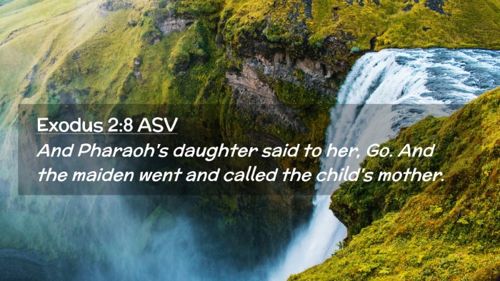 Picture 02 - Exodus 2:8 ASV Desktop Wallpaper - And Pharaoh's daughter said to her, Go. And the - Desktop Bible Verse Wallpaper