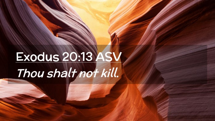 Picture 02 - Exodus 20:13 ASV Desktop Wallpaper - Thou shalt not - Desktop Bible Verse Wallpaper