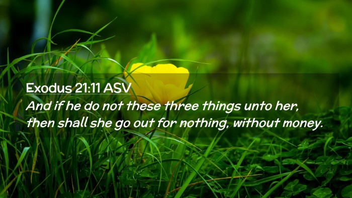 Picture 02 - Exodus 21:11 ASV Desktop Wallpaper - And if he do not these three things unto her, - Desktop Bible Verse Wallpaper