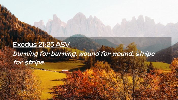 Picture 02 - Exodus 21:25 ASV Desktop Wallpaper - burning for burning, wound for wound, stripe for - Desktop Bible Verse Wallpaper