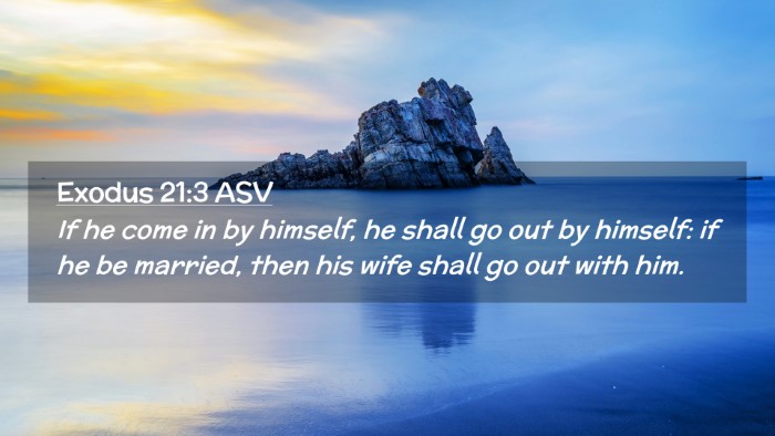 Picture 02 - Exodus 21:3 ASV Desktop Wallpaper - If he come in by himself, he shall go out by - Desktop Bible Verse Wallpaper