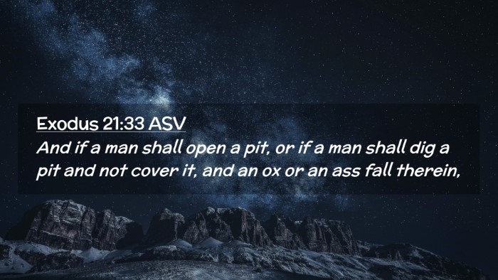 Picture 02 - Exodus 21:33 ASV Desktop Wallpaper - And if a man shall open a pit, or if a man shall - Desktop Bible Verse Wallpaper
