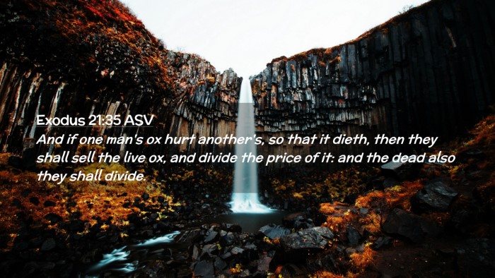 Picture 02 - Exodus 21:35 ASV Desktop Wallpaper - And if one man's ox hurt another's, so that it - Desktop Bible Verse Wallpaper