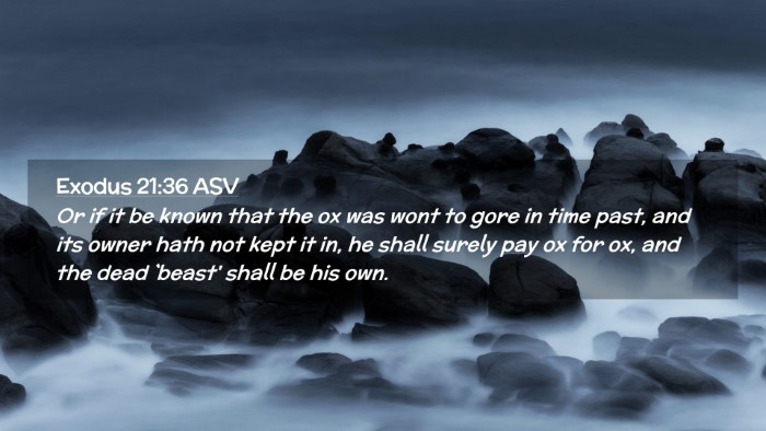 Picture 02 - Exodus 21:36 ASV Desktop Wallpaper - Or if it be known that the ox was wont to gore in - Desktop Bible Verse Wallpaper