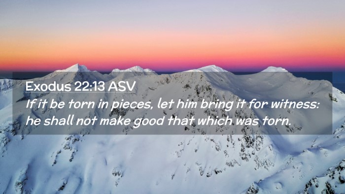 Picture 02 - Exodus 22:13 ASV Desktop Wallpaper - If it be torn in pieces, let him bring it for - Desktop Bible Verse Wallpaper