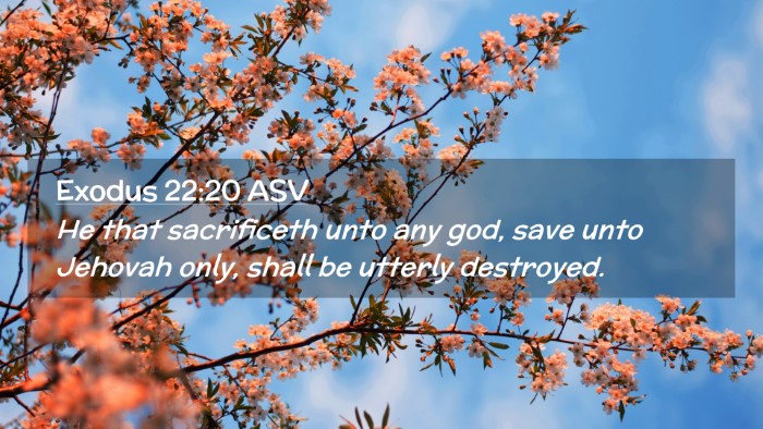 Picture 02 - Exodus 22:20 ASV Desktop Wallpaper - He that sacrificeth unto any god, save unto - Desktop Bible Verse Wallpaper