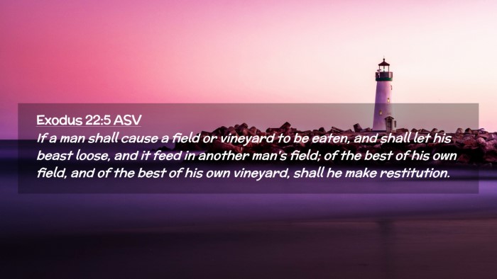 Picture 02 - Exodus 22:5 ASV Desktop Wallpaper - If a man shall cause a field or vineyard to be - Desktop Bible Verse Wallpaper