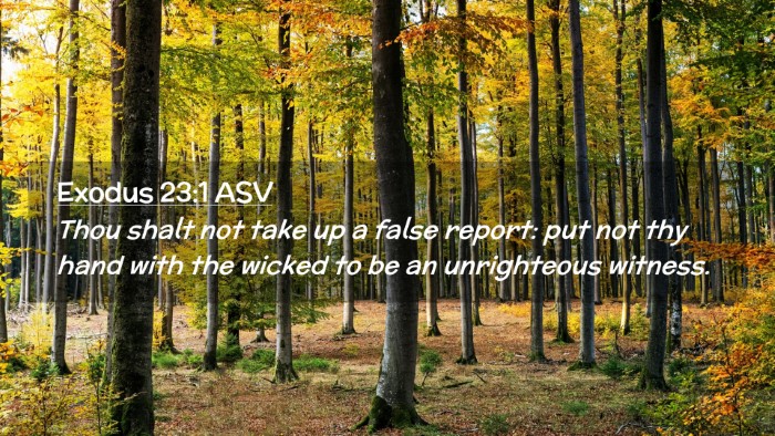 Picture 02 - Exodus 23:1 ASV Desktop Wallpaper - Thou shalt not take up a false report: put not - Desktop Bible Verse Wallpaper