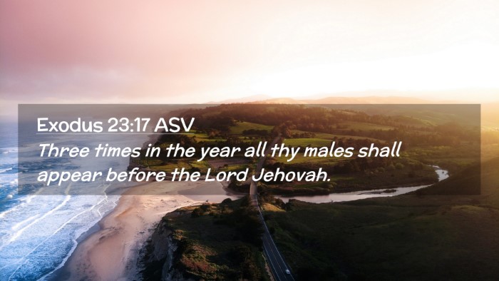 Picture 02 - Exodus 23:17 ASV Desktop Wallpaper - Three times in the year all thy males shall - Desktop Bible Verse Wallpaper