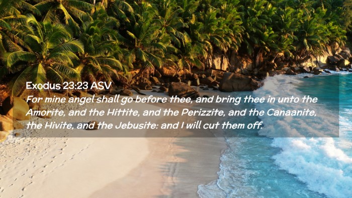 Picture 02 - Exodus 23:23 ASV Desktop Wallpaper - For mine angel shall go before thee, and bring - Desktop Bible Verse Wallpaper