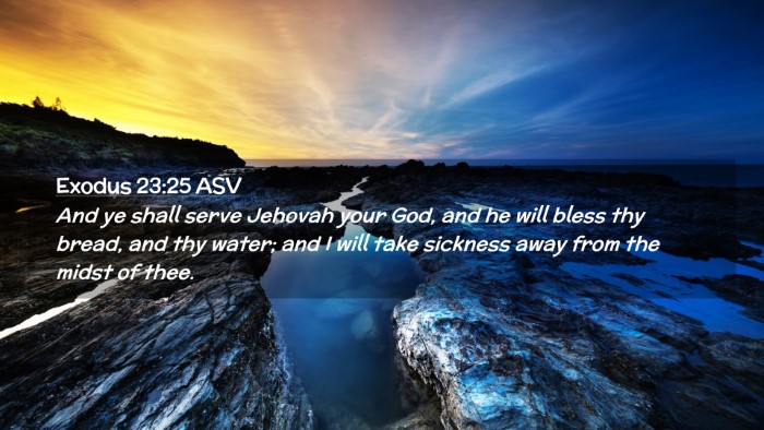 Picture 02 - Exodus 23:25 ASV Desktop Wallpaper - And ye shall serve Jehovah your God, and he will - Desktop Bible Verse Wallpaper