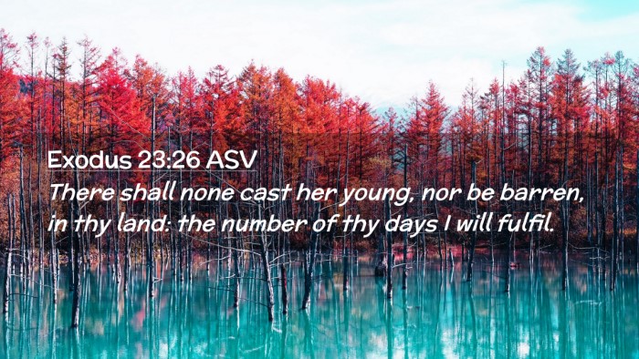 Picture 02 - Exodus 23:26 ASV Desktop Wallpaper - There shall none cast her young, nor be barren, - Desktop Bible Verse Wallpaper
