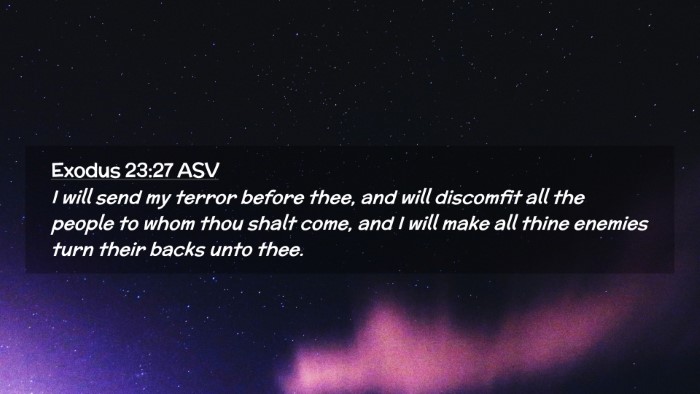 Picture 02 - Exodus 23:27 ASV Desktop Wallpaper - I will send my terror before thee, and will - Desktop Bible Verse Wallpaper