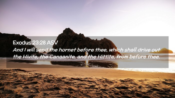 Picture 02 - Exodus 23:28 ASV Desktop Wallpaper - And I will send the hornet before thee, which - Desktop Bible Verse Wallpaper