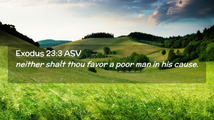Picture 02 - Exodus 23:3 ASV Desktop Wallpaper - neither shalt thou favor a poor man in his - Desktop Bible Verse Wallpaper