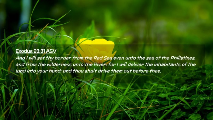 Picture 02 - Exodus 23:31 ASV Desktop Wallpaper - And I will set thy border from the Red Sea even - Desktop Bible Verse Wallpaper