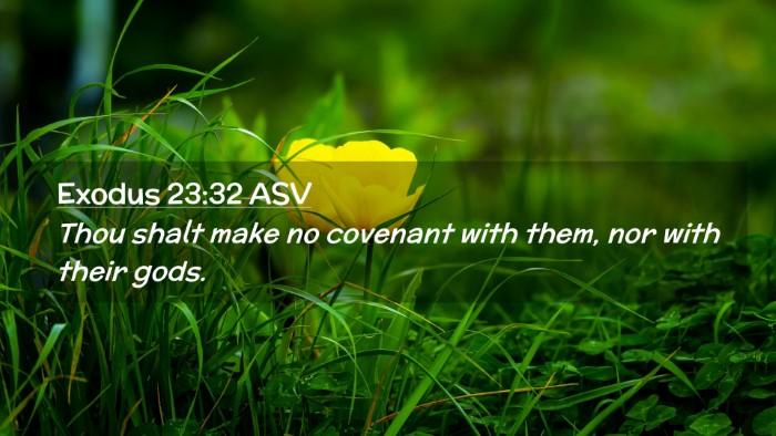 Picture 02 - Exodus 23:32 ASV Desktop Wallpaper - Thou shalt make no covenant with them, nor with - Desktop Bible Verse Wallpaper