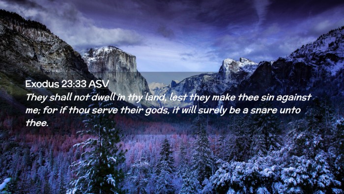 Picture 02 - Exodus 23:33 ASV Desktop Wallpaper - They shall not dwell in thy land, lest they make - Desktop Bible Verse Wallpaper