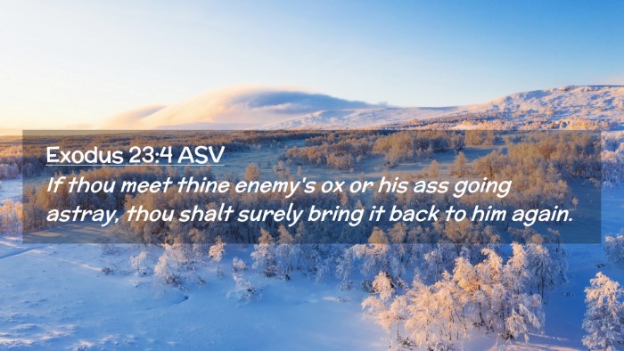 Picture 02 - Exodus 23:4 ASV Desktop Wallpaper - If thou meet thine enemy's ox or his ass going - Desktop Bible Verse Wallpaper