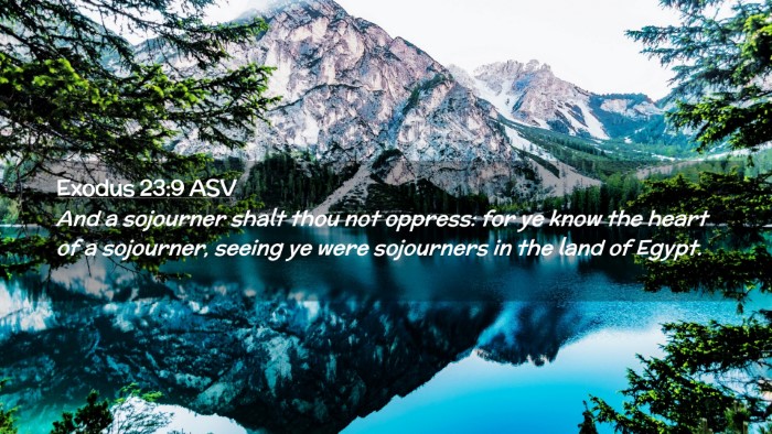 Picture 02 - Exodus 23:9 ASV Desktop Wallpaper - And a sojourner shalt thou not oppress: for ye - Desktop Bible Verse Wallpaper