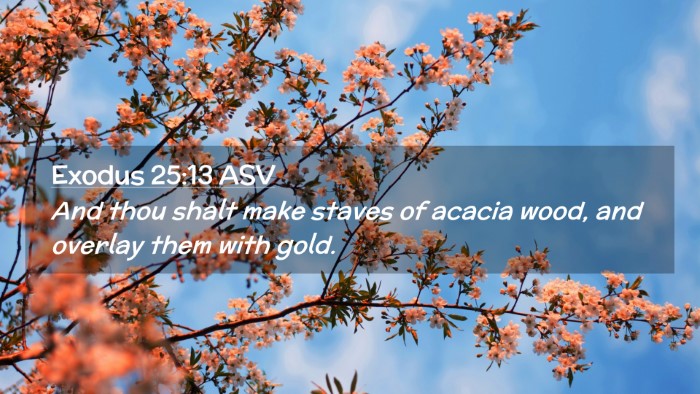 Picture 02 - Exodus 25:13 ASV Desktop Wallpaper - And thou shalt make staves of acacia wood, and - Desktop Bible Verse Wallpaper