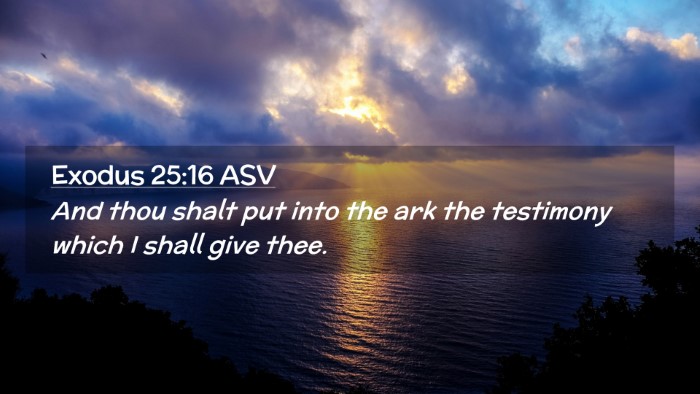 Picture 02 - Exodus 25:16 ASV Desktop Wallpaper - And thou shalt put into the ark the testimony - Desktop Bible Verse Wallpaper