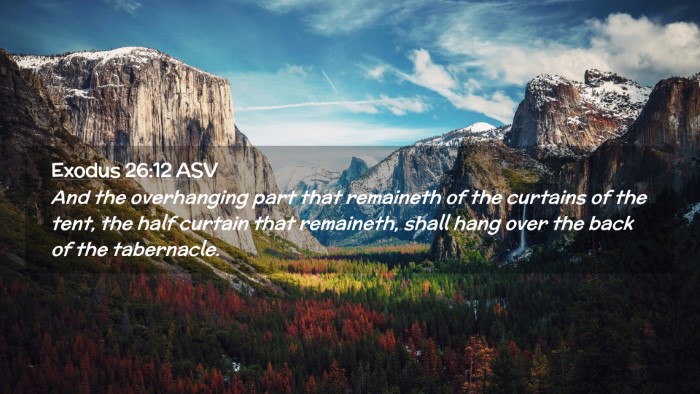Picture 02 - Exodus 26:12 ASV Desktop Wallpaper - And the overhanging part that remaineth of the - Desktop Bible Verse Wallpaper