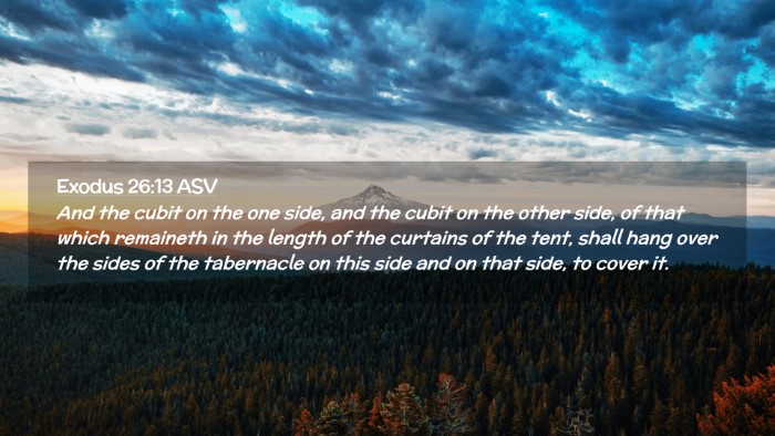 Picture 02 - Exodus 26:13 ASV Desktop Wallpaper - And the cubit on the one side, and the cubit on - Desktop Bible Verse Wallpaper