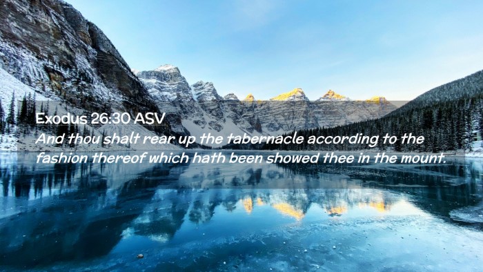 Picture 02 - Exodus 26:30 ASV Desktop Wallpaper - And thou shalt rear up the tabernacle according - Desktop Bible Verse Wallpaper