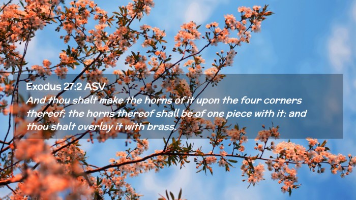 Picture 02 - Exodus 27:2 ASV Desktop Wallpaper - And thou shalt make the horns of it upon the four - Desktop Bible Verse Wallpaper