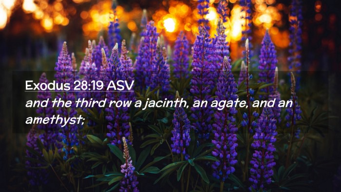 Picture 02 - Exodus 28:19 ASV Desktop Wallpaper - and the third row a jacinth, an agate, and an - Desktop Bible Verse Wallpaper