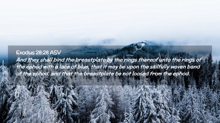 Picture 02 - Exodus 28:28 ASV Desktop Wallpaper - And they shall bind the breastplate by the rings - Desktop Bible Verse Wallpaper