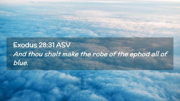 Picture 02 - Exodus 28:31 ASV Desktop Wallpaper - And thou shalt make the robe of the ephod all of - Desktop Bible Verse Wallpaper
