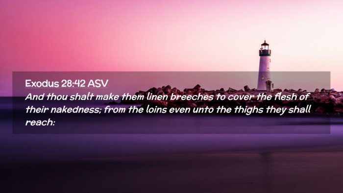 Picture 02 - Exodus 28:42 ASV Desktop Wallpaper - And thou shalt make them linen breeches to cover - Desktop Bible Verse Wallpaper