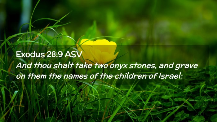 Picture 02 - Exodus 28:9 ASV Desktop Wallpaper - And thou shalt take two onyx stones, and grave on - Desktop Bible Verse Wallpaper