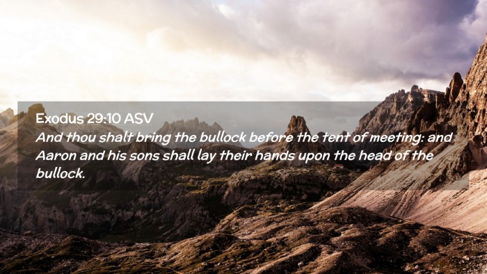 Picture 02 - Exodus 29:10 ASV Desktop Wallpaper - And thou shalt bring the bullock before the tent - Desktop Bible Verse Wallpaper