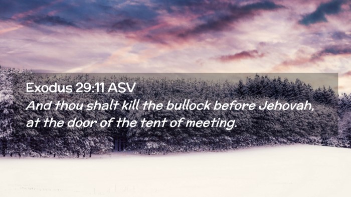 Picture 02 - Exodus 29:11 ASV Desktop Wallpaper - And thou shalt kill the bullock before Jehovah, - Desktop Bible Verse Wallpaper