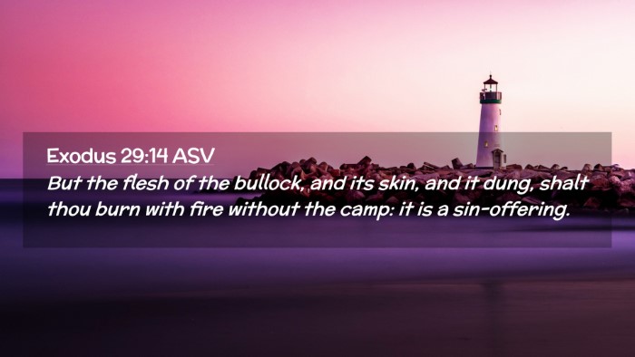 Picture 02 - Exodus 29:14 ASV Desktop Wallpaper - But the flesh of the bullock, and its skin, and - Desktop Bible Verse Wallpaper